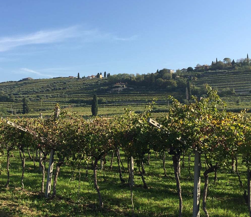 concorso fotografico della Valpolicella