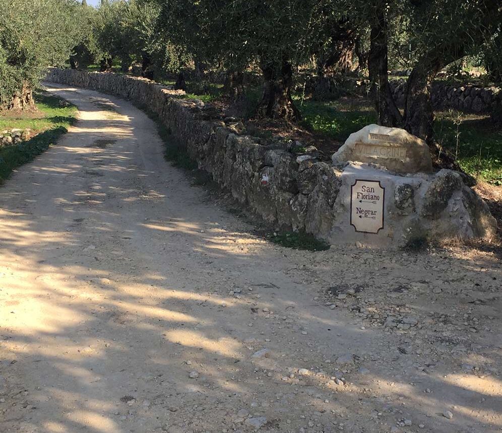 CONCORSO FOTOGRAFICO MAGNALONGA DELLA VALPOLICELLA